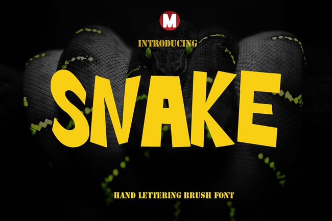 Snake: A Beautiful Hand Lettering Brush Font