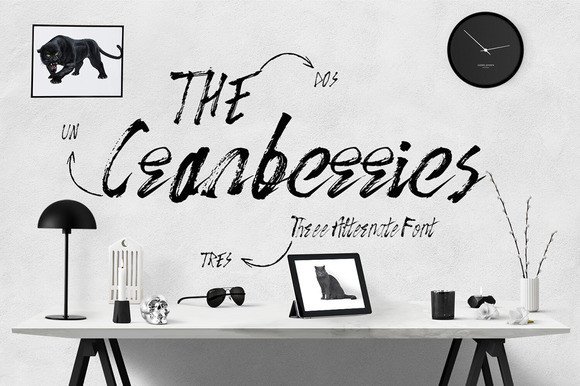 The Cranberries: A Versatile Typeface for Creative Workflows